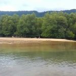 TDC Aceh Selatan akan Lakukan Penghijauan Mangrove di Labuhanhaji