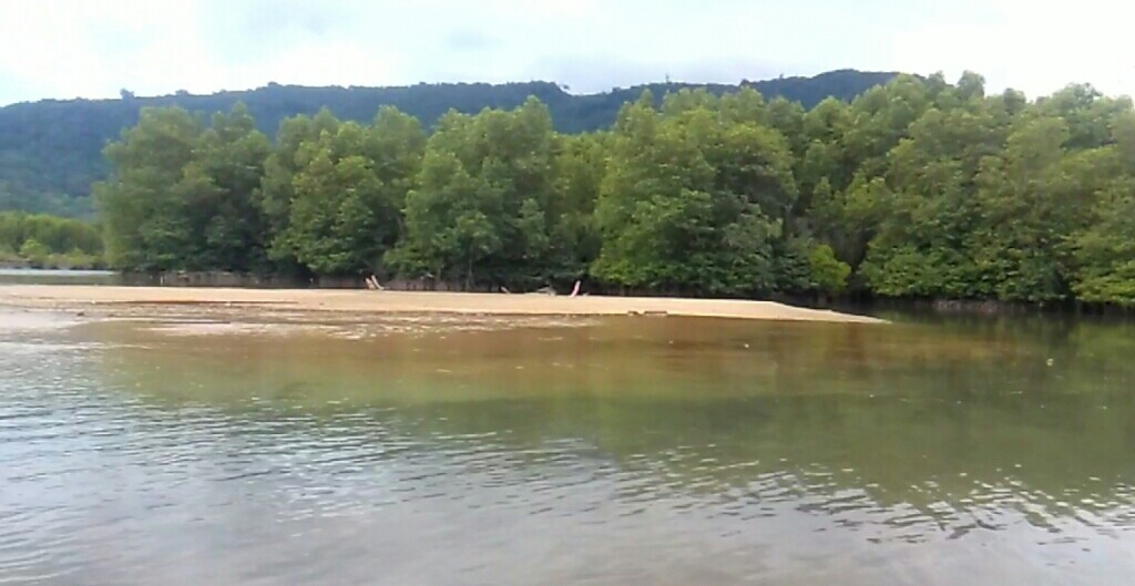 TDC Aceh Selatan akan Lakukan Penghijauan Mangrove di Labuhanhaji