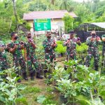 Personil Koramil 05/Samadua Melakukan Perawatan Kebun Demplot Ketahanan Pangan