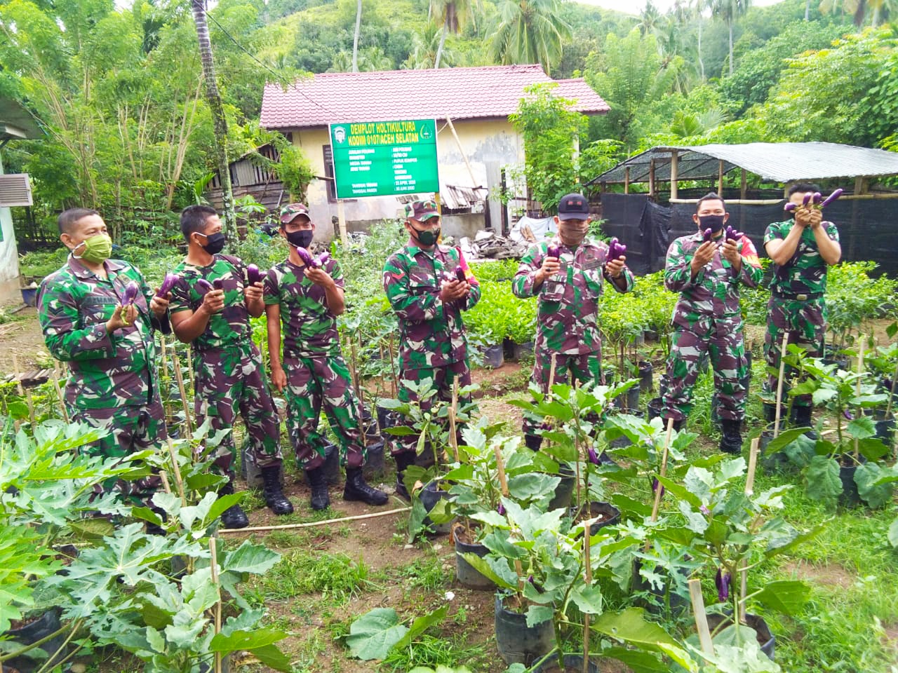Personil Koramil 05/Samadua Melakukan Perawatan Kebun Demplot Ketahanan Pangan