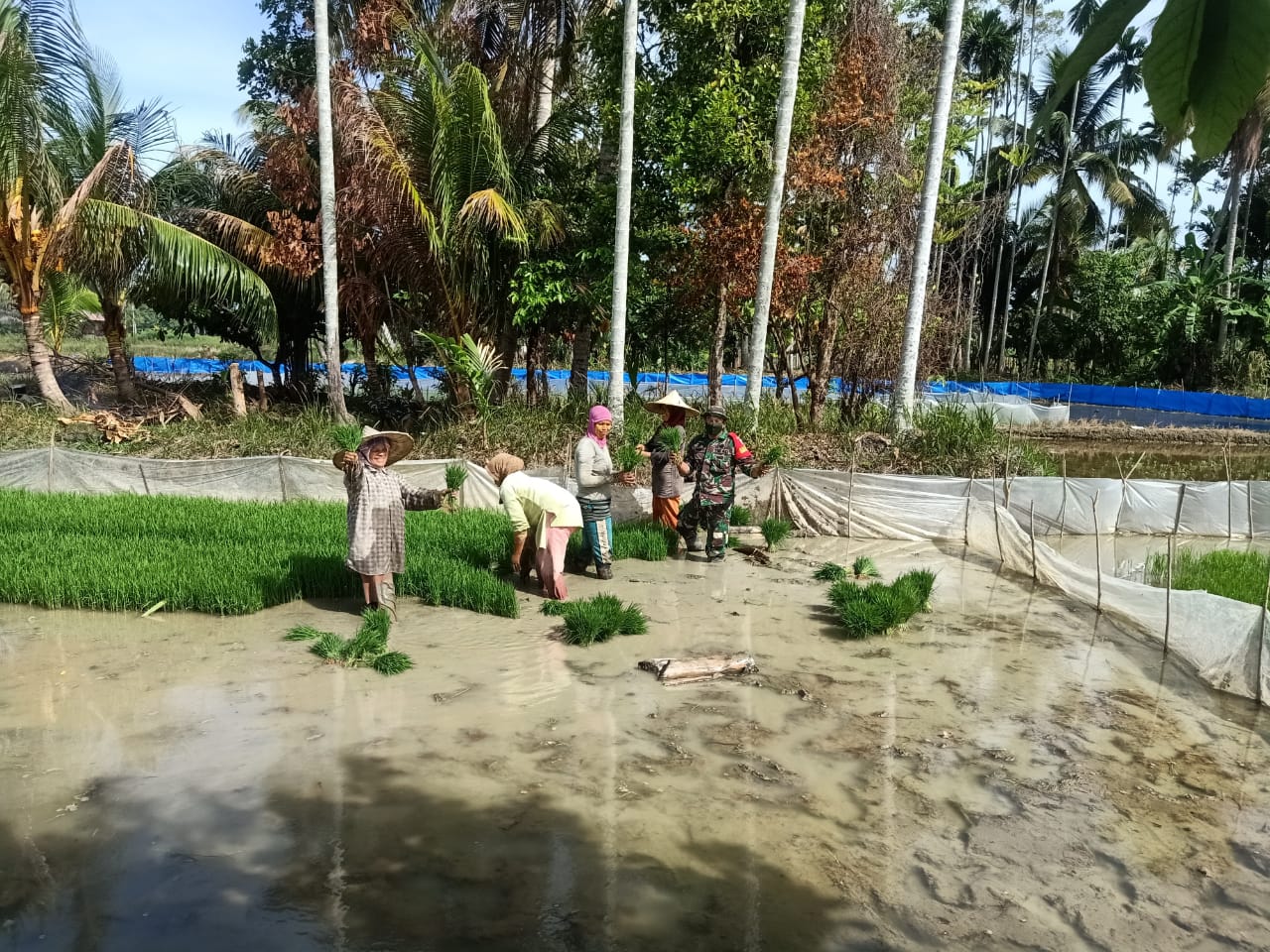 Keakraban Serda Zainal Amri Dengan Petani Diwilayah Binaan