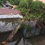 Satu Unit Rumah Rusak Berat Ditimpa Pohon Tumbang di Abdya