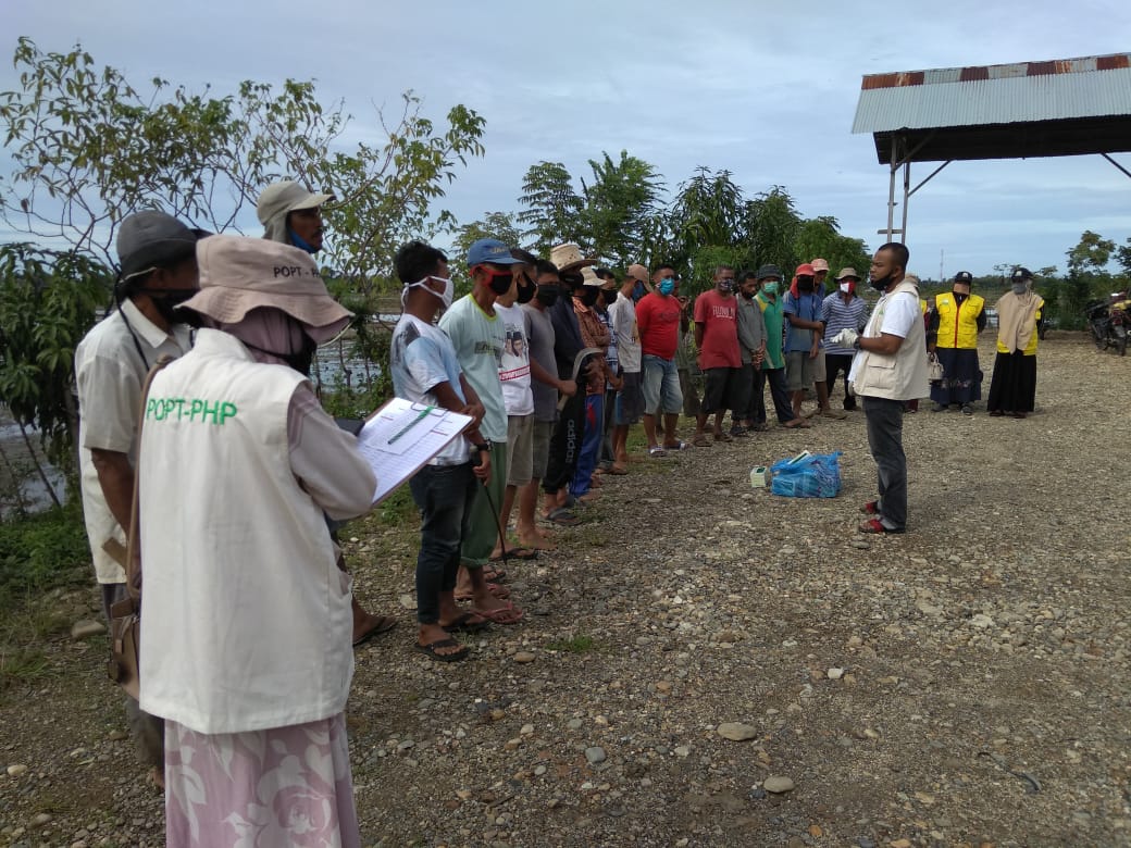 UPTD BPTPH Distanbun  Aceh, Distanpan Abdya dan Petani Berantas Hama Tikus