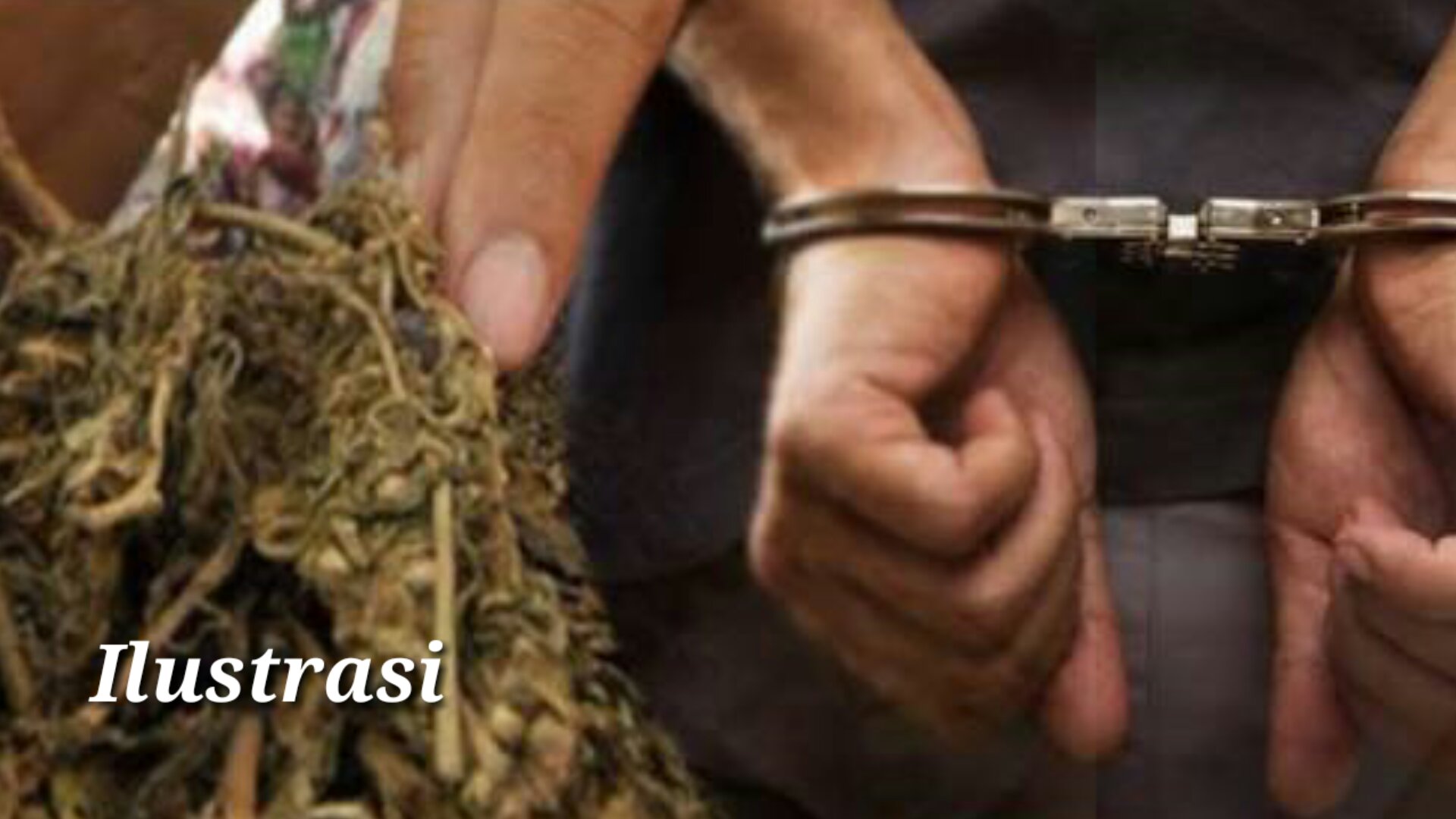 Oknum Tenaga Kontrak BNNK Aceh Selatan Ditangkap Polisi di Pakpak Barat