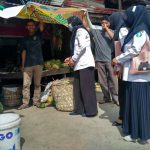 Petugas Puskesmas Meukek Gelar Sosialisasi PHBS Door to Door di Gampong Lhok Aman