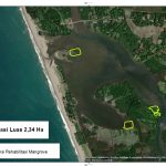 BPSPL Padang dan TDC Akan Tanam 7000 Bibit Mangrove di Aceh Selatan