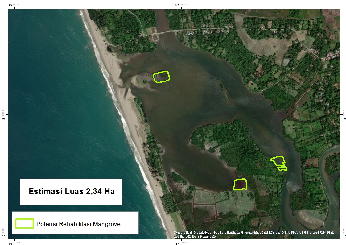 BPSPL Padang dan TDC Akan Tanam 7000 Bibit Mangrove di Aceh Selatan