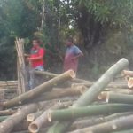 Muara Sungai Pasie Kuala Asahan Bakal Jadi Hutan Mangrove Masa Depan