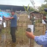 KKP RI Tanam Ribuan Bibit Mangrove di Aceh Selatan