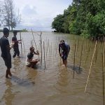 BPSPL Padang Tanam Bibit Mangrove di Muara Sungai Seuleukat