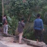 Harimau Masuk Kota Tapaktuan, Kalak BPBD Aceh Selatan : Telah Diusir Dengan Mercon