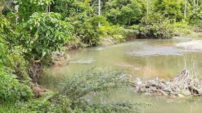 Limbah Mercury Tambang Rakyat Cemari DAS Peulumat