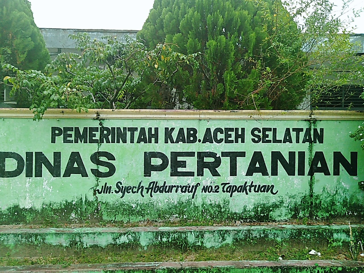 Tiga Tahun Berturut – Turut Dinas Pertanian Asel Tidak Mendapat Kuncuran DAK APBN