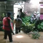 Brimob Aceh Melakukan Patroli Banjir Dan Menyalurkan Sembako Di Pasie Raja