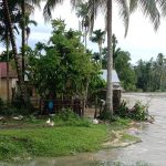 Dua Dari Lima Rumah Yang Terdampak Abrasi Sungai Kluet Terpaksa Dibongkar Warga