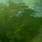 Lintasan Jalur Dua di Puncak Geumilang Bagaikan Hutan Belantara