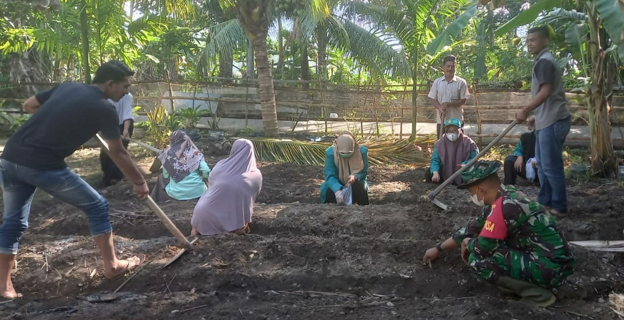Manfaatkan Lahan Kosong, Babinsa Koramil 10/Labar Bersama Pemdes Ujung Padang dan Mahasiswa KKN Tanam Sayur
