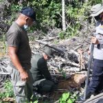 Pastikan Sumber Air Terpelihara, Brimob Aceh dan Pihak Kehutanan Lakukan Reboisasi