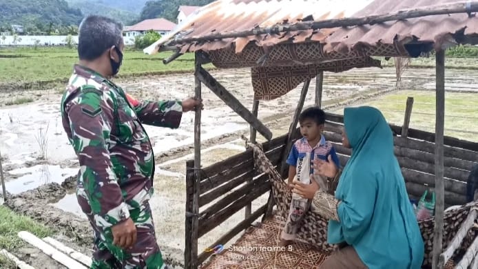 Sukseskan Hanpangan, Babinsa Koramil Sawang Pantau Perkembangan Pertanian di Desa Binaan