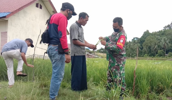 Pasca Banjir Masyarakat Di Aceh Selatan Beraktivitas Normal Kembali