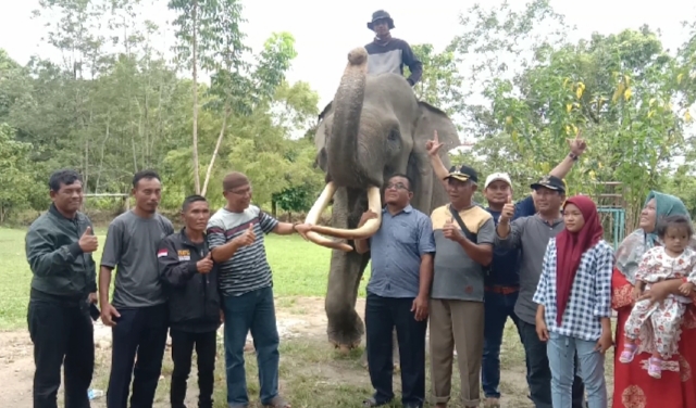 Miliki 4 Ekor Gajah, CRU Trumon Menarik Minat Pengunjung