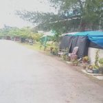 Bupati Aceh Selatan Diminta Copot Jabatan Kabid RTH