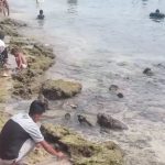 Berburu Ikan Hias Di Objek Wisata Pantai Pasir Putih