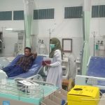 Seorang Petani di Aceh Selatan Diserang Harimau