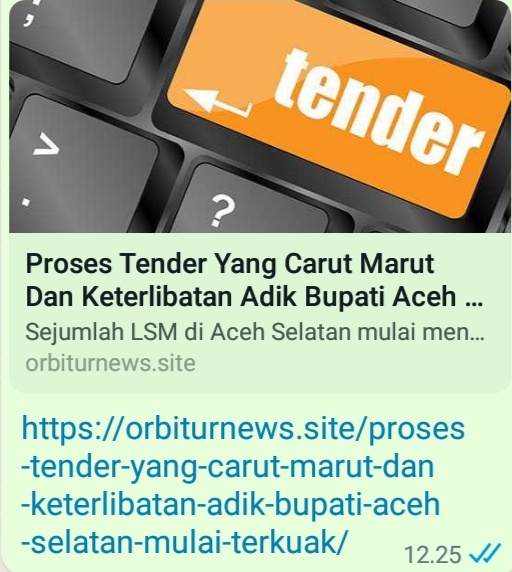 Media Orbiturnews.site Mendadak Hilang, Teuku Sukandi : Diduga Pelaku Mulai Ketakutan