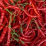 Harga Cabe Merah di Aceh Selatan Belum Stabil
