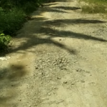 Kawasan Hutan Seneubok Jaya Diduga Jadi “Surga Tersembunyi” Bagi Perambah