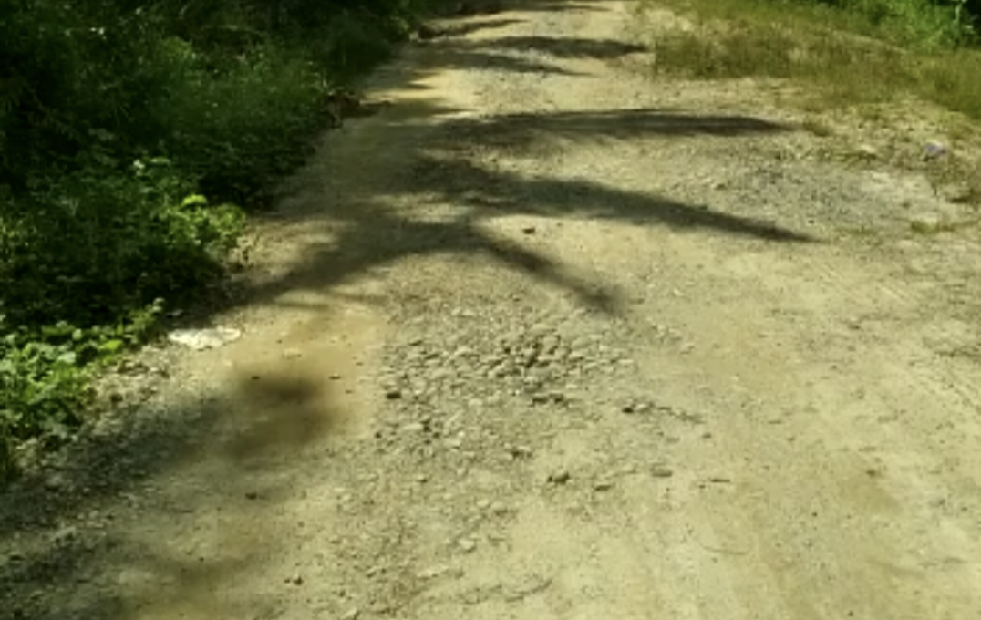 Pemkab Asel Diminta Tertibkan Kepemilikan Tanah Negara di Trumon