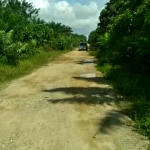 Pemkab Aceh Selatan Terkesan Abaikan Kondisi Jalan di Seneubok Jaya