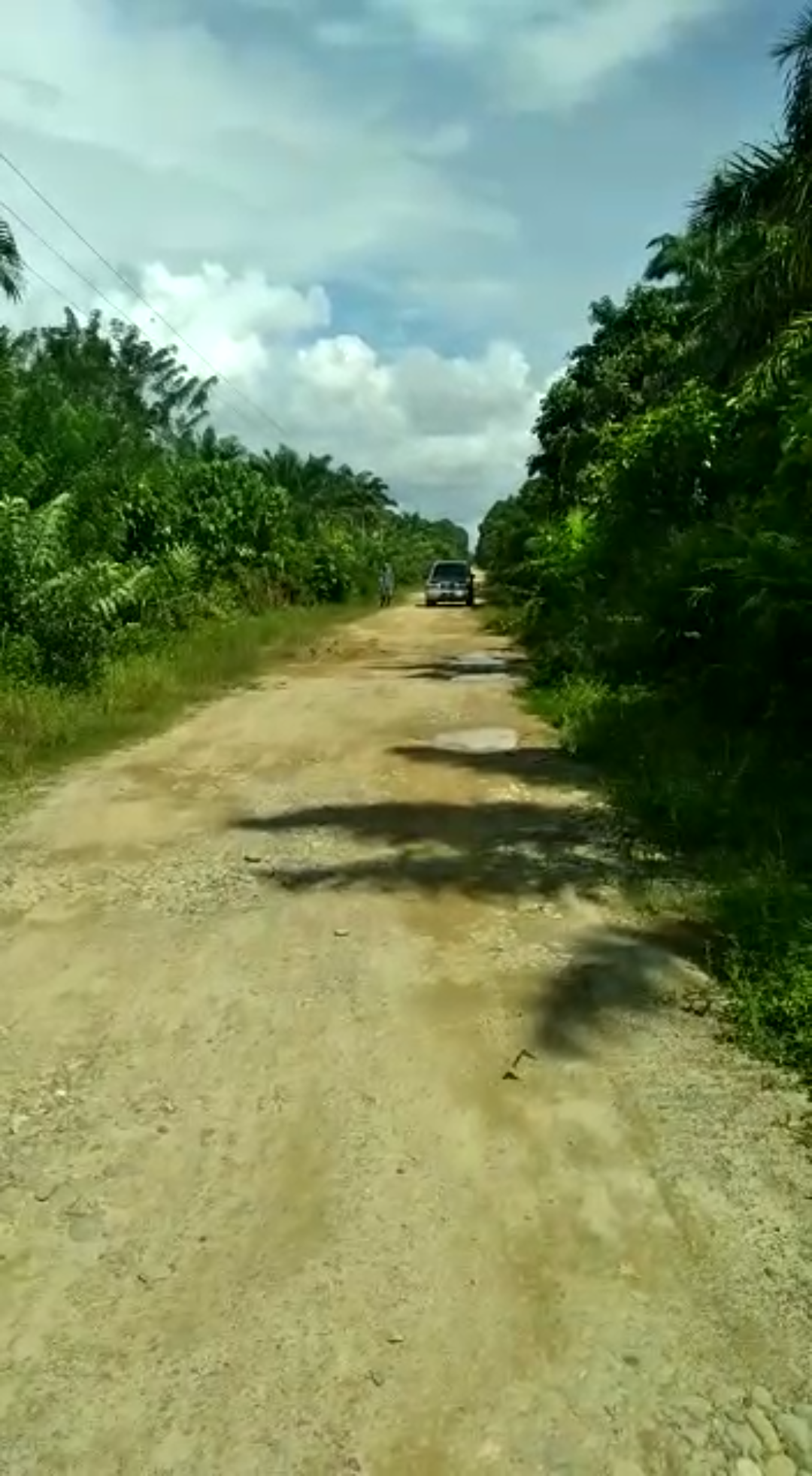 Pemkab Aceh Selatan Terkesan Abaikan Kondisi Jalan di Seneubok Jaya