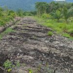 Proyek Jalan Tani  Pokir Anggota DPRA di Ie Jeurueneh Diduga Dikerjakan Asal Jadi