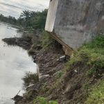 Abrasi Tebing  Sungai Ancam Abutmen Jembatan Gantung Pasie Meurapat
