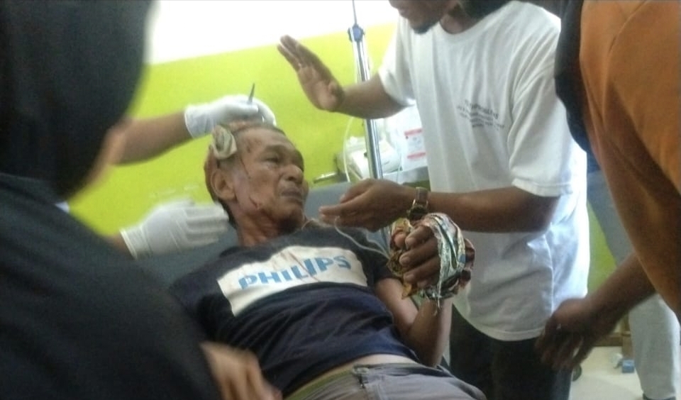 Harimau  Terkam Dua Petani  di Aceh Selatan