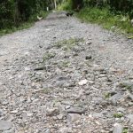 Jalan Pemukiman di Gampong Tanjung Harapan Sudah 20 Tahun Masih Pengerasan