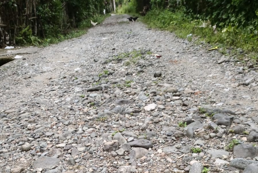Jalan Pemukiman di Gampong Tanjung Harapan Sudah 20 Tahun Masih Pengerasan
