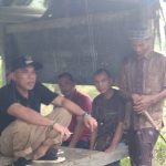 Camat Sawang Tinjau Persiapan Tanam Padi Serentak di Gampong Panton Luas