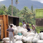 Truck Bermuatan Ampas Padi Terbalik di Aceh Selatan