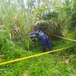 Mayat Laki-Laki Ditemukan Di Semak-Semak Dalam Kondisi Mengenaskan