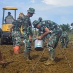 Dandim 0107/Asel Pimpin Penanaman Jagung di Lahan Hanpangan Pasie Raja