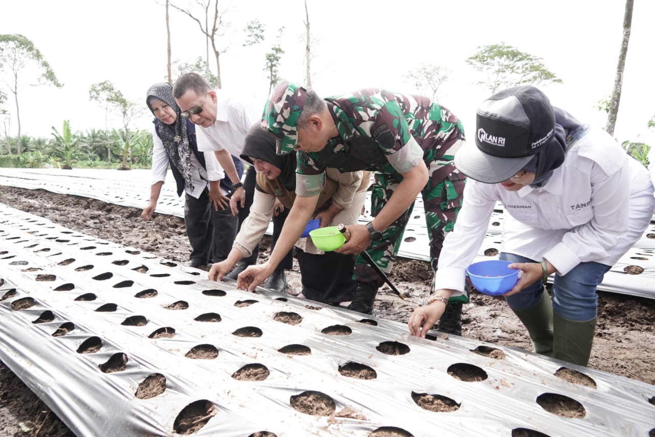 Danrem 012/TU Sambut Pj Gubernur Aceh Tinjau Lahan Poktan Teuku Umar Farm