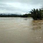 Makam Pahlawan Teuku Cut Ali Terancam Digerus Abrasi Sungai Kluet