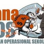 Penggunaan Dana Bos SMP Negeri Satu Ketambe, Aceh Tenggara Terindikasi Korupsi