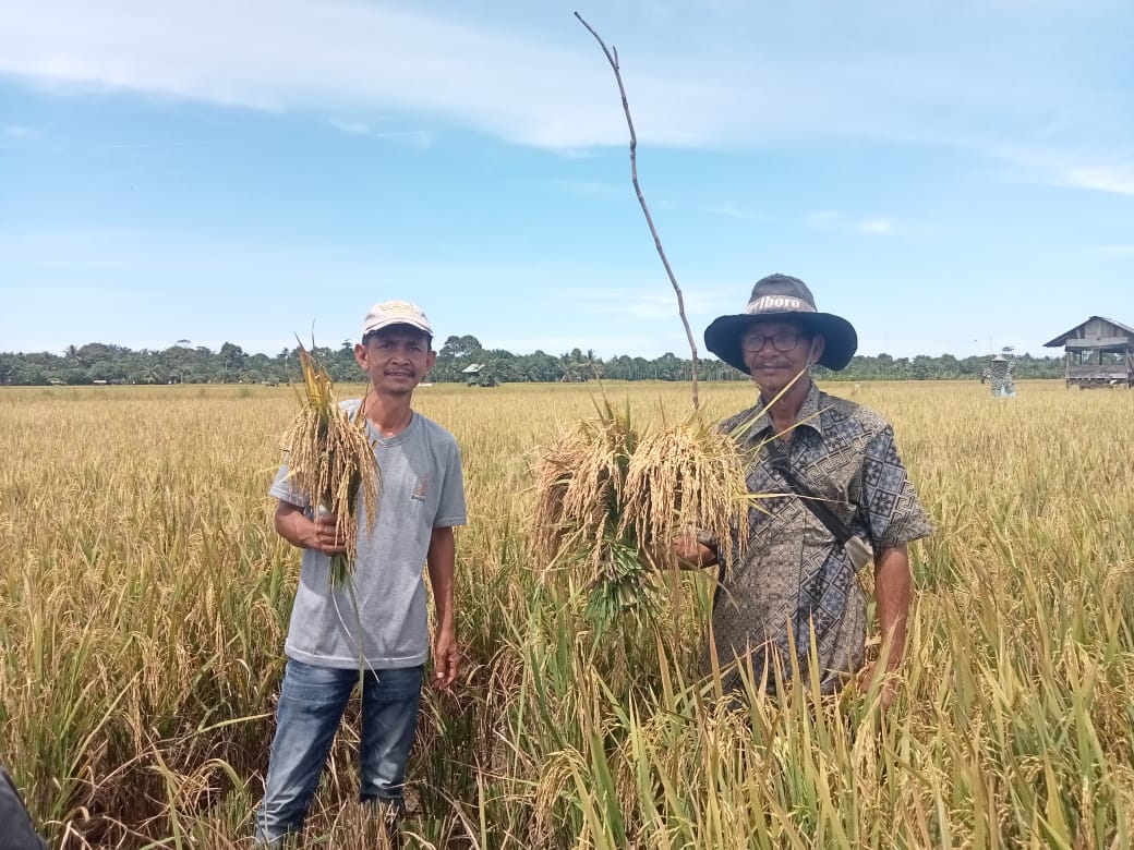 Tingkatkan Hasil Panen, Masyarakat Lakukan Metode Ramah Lingkungan