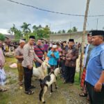 Qurban Presisi Polres Aceh Selatan serahkan Hewan Qurban kepada Masyarakat