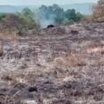 Belasan Hektare Lahan di Aceh Besar Terbakar