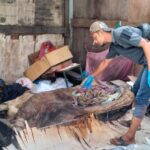 Seorang Pria Ditemukan Meninggal Dunia Dirumah Kosong di Pidie Jaya